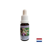 Създава настроение и радост - есенция весела орхидея № 11, капки 15 ml