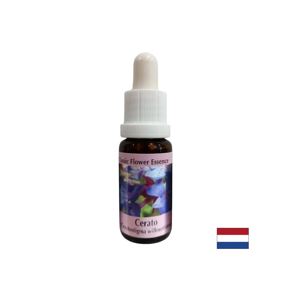 Стимулира интуицията и вземането на решения - есенция Ceratosigma (WAX) № 5, капки 15 ml