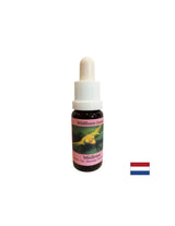 Стимулира съзнателната промяна - Есенция Бял имел № 12, капки 15 ml