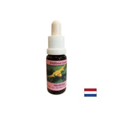 Стимулира съзнателната промяна - Есенция Бял имел № 12, капки 15 ml