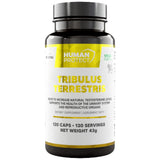 Tribulus terrestris 204 mg | С 98% сапонини - 120 капсули