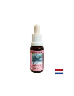 Calms the body and spirit, helps against insomnia and stress - Valerian Essence No. 21, drops 15 ml - Nutra Best Europe