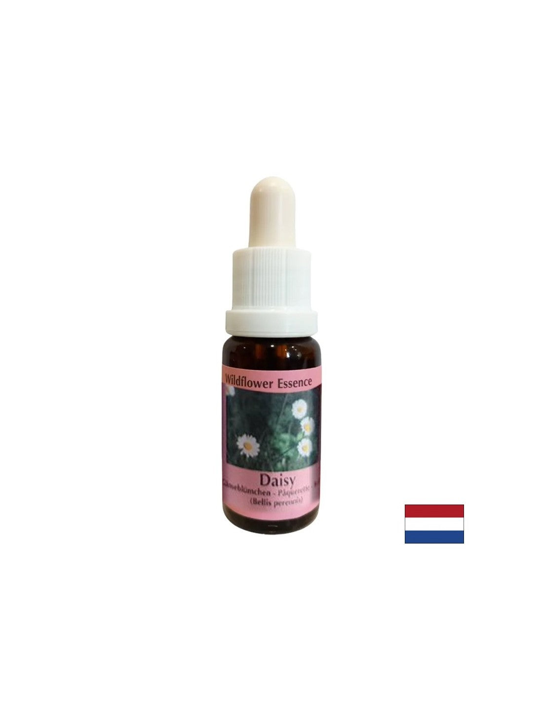 Увеличава капацитета на паметта и ученето - обикновена DAISY ESSENCE № 26, пада 15 ml