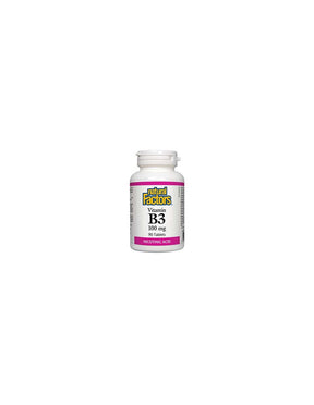 Vitamin B3 100 mg - 90 Tablets - Nutra Best Europe