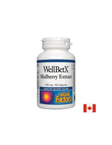 Екстракт от черница Wellbetx 100 mg - 90 капсули