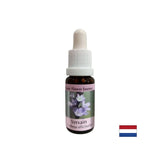 За баланс и спокойствие - Verbena Essence № 31, капки 15 ml