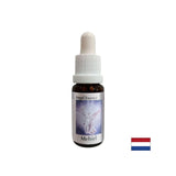 За намиране на правилните думи - Essence Mechiel (Angel Essence No. 16), отпада 15 ml