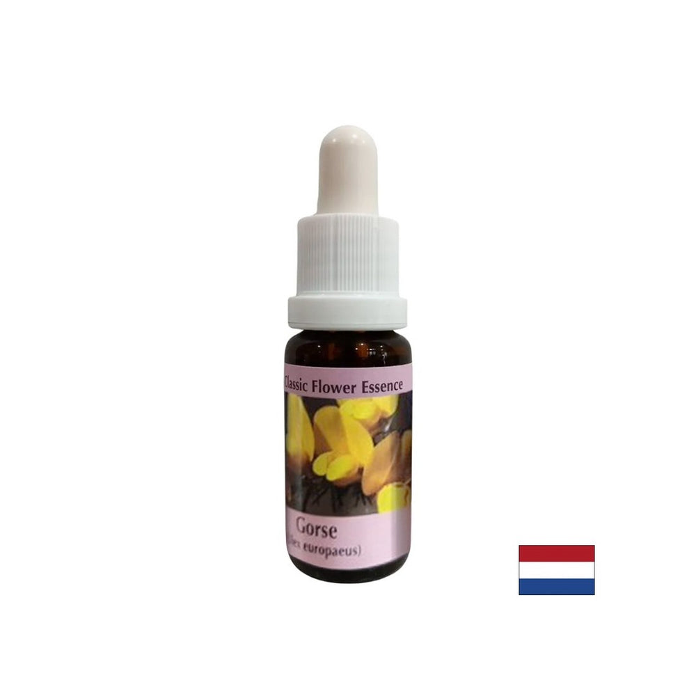 За ново начало - Essence Preshtip № 13, пада 15 ml
