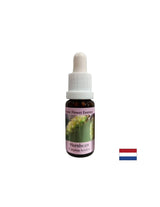 За повече енергия и мотивация - Hornbeam Essence № 17, капки 15 ml