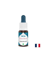 За вербална експресия - Dogwood (Antirrhinum), BACH капки, 15 ml