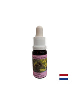 Енергизира - дъбова есенция № 22, капки 15 ml
